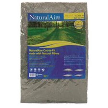 Protectionpro 20 x 25 x 1 in. Merv 4 Smilie Synthetic Air Filter PR3548905